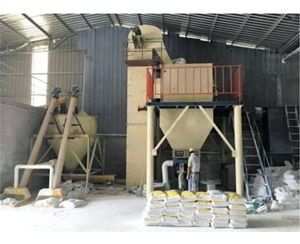 干粉砂漿攪拌設備價格誠信企業(yè)推薦 安丘雪景機械